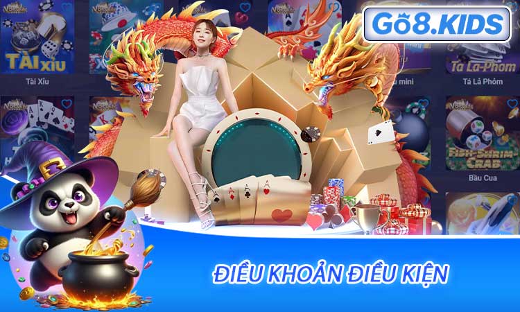 Điều Khoản Điều Kiện